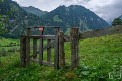 Wanderung zur Hirschgrubenalm und Modereggalm - Gatter