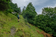 Wanderung zur Hirschgrubenalm und Modereggalm - Steiler Wanderweg