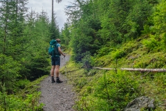 Wanderung zur Hirschgrubenalm und Modereggalm - Steiler Wanderweg