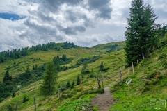 Wanderung zur Hirschgrubenalm und Modereggalm - Gatter