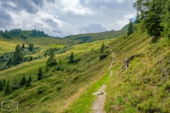 Wanderung zur Hirschgrubenalm und Modereggalm - Der Wanderweg