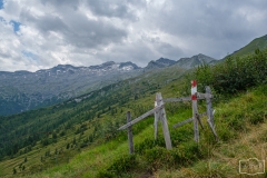 Wanderung zur Hirschgrubenalm und Modereggalm - Gatter