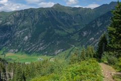 Wanderung zur Hirschgrubenalm und Modereggalm - Weg ins Tal von der Modereggalm