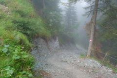 Gratwanderung - Wanderweg im Nebel