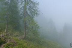 Gratwanderung - Wanderweg im Nebel