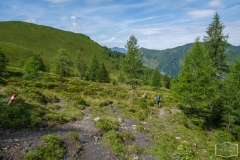 Gratwanderung - Beschwerlicher Aufstieg