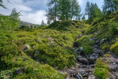 Gratwanderung - Steiler Wanderweg