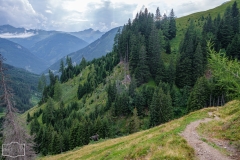 Gratwanderung - Der Weg ins Tal