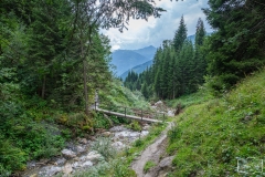 Gratwanderung - Der Weg ins Tal