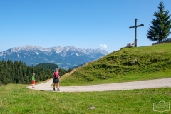 Wanderung auf die Hohe Salve - Wanderweg auf Forststrasse