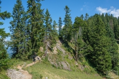 Wanderung auf dem Grat der Nagelfluhkette - Anspruchsvoller Wanderweg