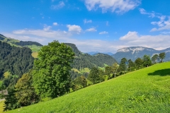 Berglandschaft in Söll