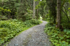 Schöner Wanderweg