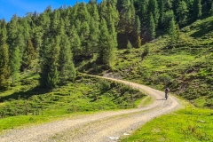 Mountainbiker beim Aufstieg zum Wildkogel