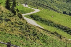 Der letzte Anstieg zum Wildkogel