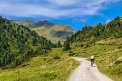 MTB-Tour durchs Salzachtal