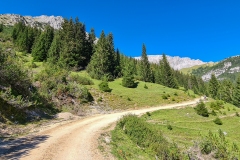 auf dem steilen Weg zur Rotmoosalm