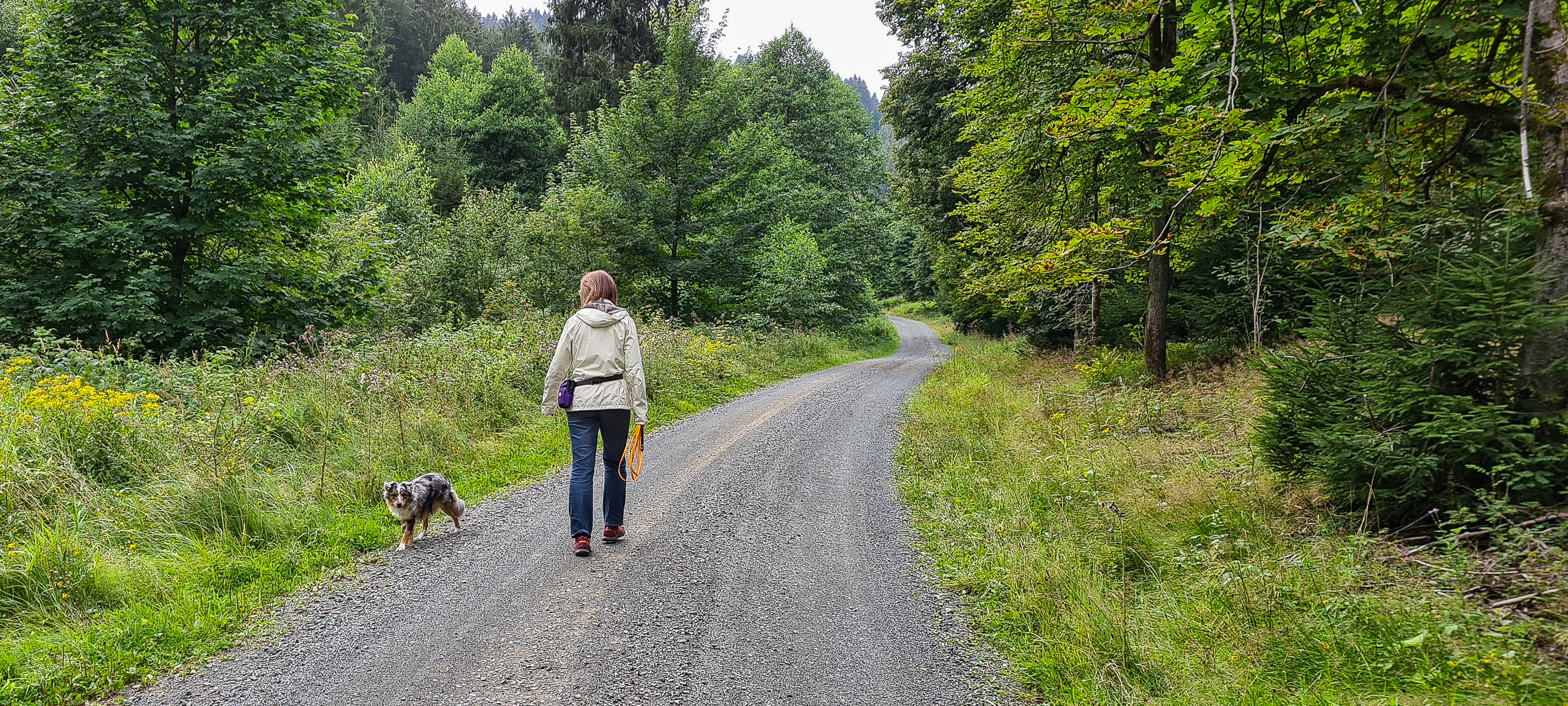 Spaziergang in Schulenberg im Harz