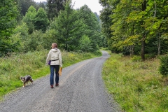 Spaziergang in Schulenberg im Harz