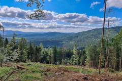 Wanderung auf den Silberberg bei Bodenmais