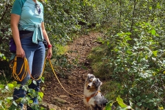 Wanderung auf den Silberberg bei Bodenmais