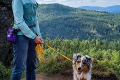 Wanderung auf den Silberberg bei Bodenmais