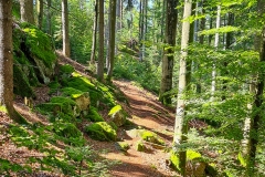 Wanderung zum Riederfelsen und ztum Harlachberg in Bodenmais