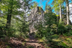 Wanderung zum Riederfelsen und ztum Harlachberg in Bodenmais