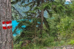 Am Weissensee in Stockenboi, Kärnten, Österreich