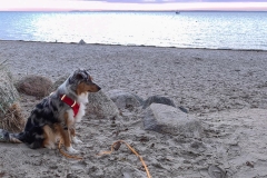 Happy an der Ostsee bei Pelzerhaken