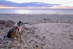 Happy an der Ostsee bei Pelzerhaken