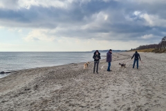 Spaziergang an der Ostsee nach Grömitz