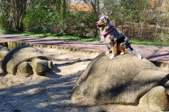 Spaziergang durch die Goslaer Altstadt