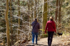 Spaziergang bei Goslar