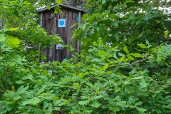 Spaziergang im Harz bei Goslar