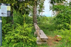 Spaziergang im Harz bei Goslar