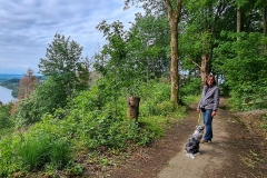 Spaziergang im Harz bei Goslar am Granetalstausee