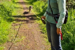 Spaziergang im Harz bei Goslar