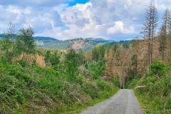 Radtour im Harz bei Goslar um den Granetalstausee und den Innerstestausee