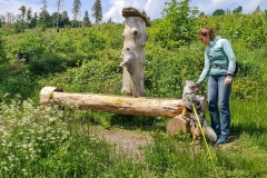 Radtour im Harz bei Goslar um den Granetalstausee und den Innerstestausee