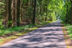 Radtour in der Lüneburger Heide bei Soltau