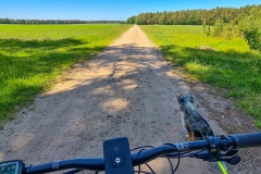 Radtour in der Lüneburger Heide bei Soltau