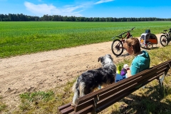 Radtour in der Lüneburger Heide bei Soltau