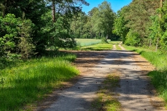 Radtour in der Lüneburger Heide bei Soltau