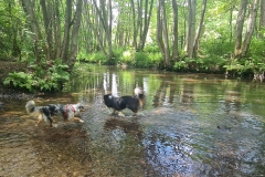 Happy & Mailto bei Wasserspielen