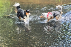 Happy & Mailto bei Wasserspielen