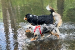 Happy & Mailto bei Wasserspielen