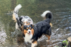 Happy & Mailto bei Wasserspielen