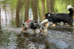 Happy & Mailto bei Wasserspielen