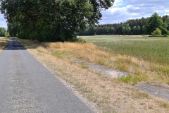 Radtour in der Lüneburger Heide bei Becklingen